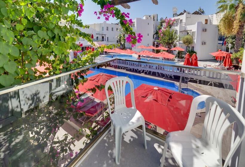 غرفة سوبيريور, The Hello