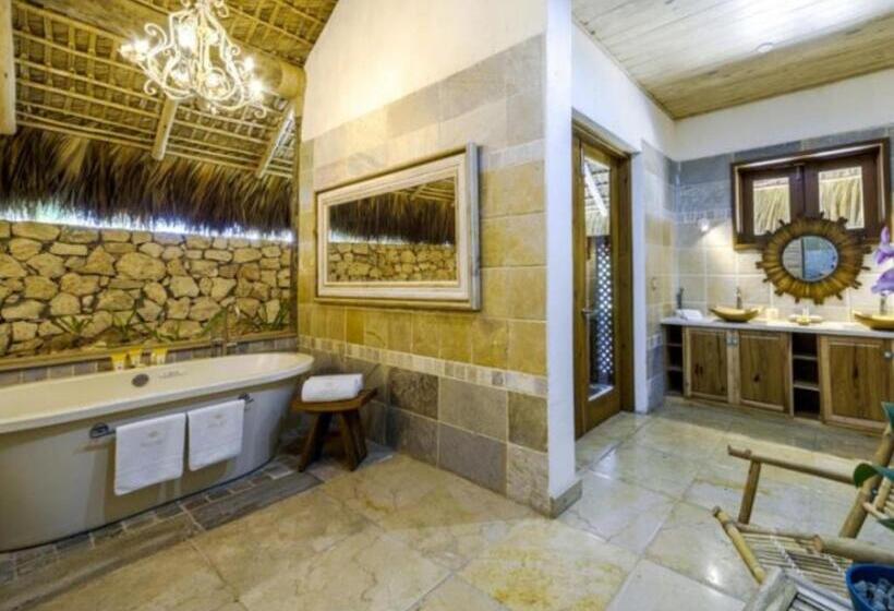 标准平房, Eden Roc Cap Cana