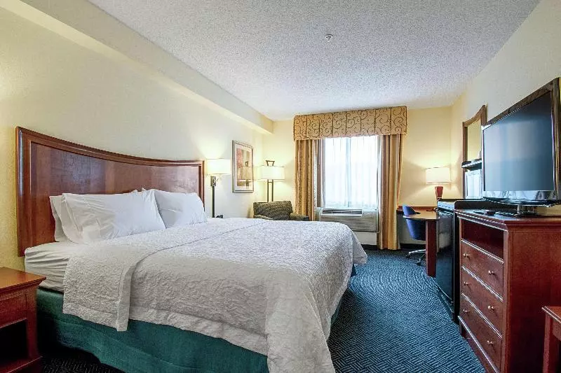 キングサイズベッドのスタンダードルーム, Hampton Inn Pine Grove