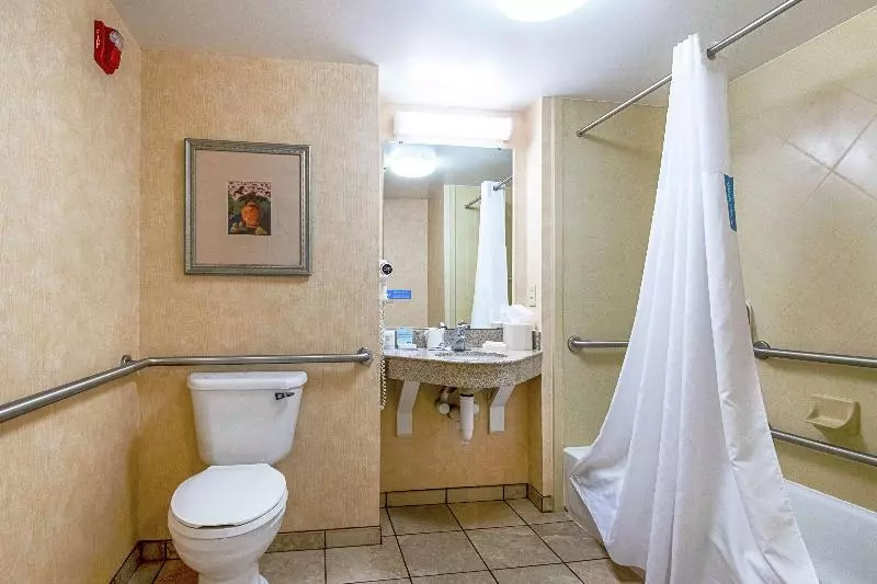 キングサイズベッドのスタンダードルーム, Hampton Inn Pine Grove