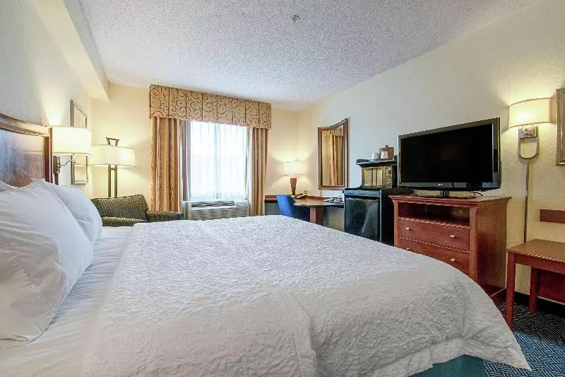 キングサイズベッドのスタンダードルーム, Hampton Inn Pine Grove
