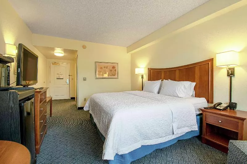 キングサイズベッドのスタンダードルーム, Hampton Inn Pine Grove