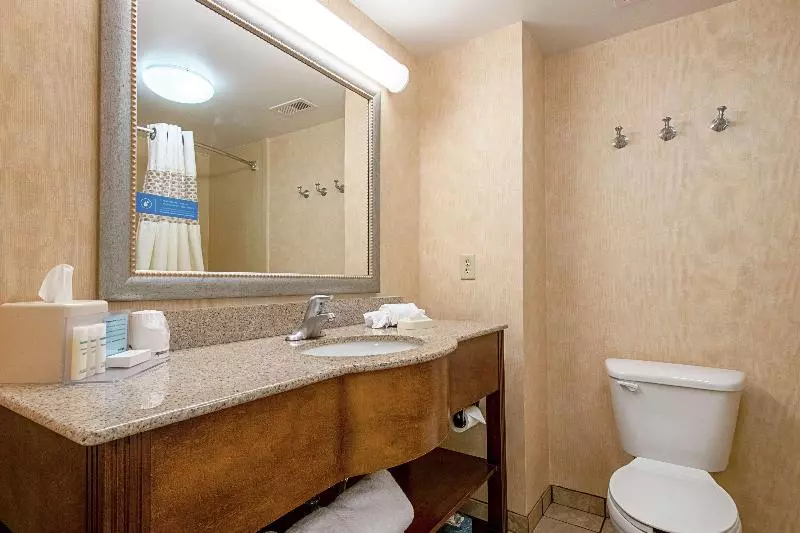 キングサイズベッドのスタンダードルーム, Hampton Inn Pine Grove