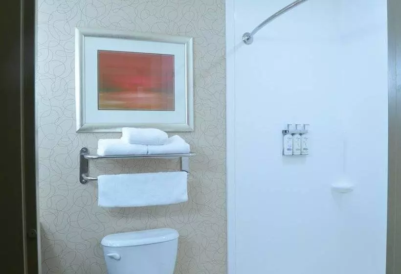 スタンダードルーム, Holiday Inn Birmingham   Hoover, An Ihg