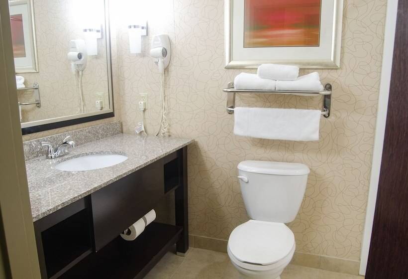 Номер Стандарт, Holiday Inn Birmingham   Hoover, An Ihg