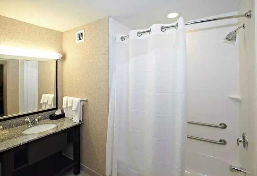 身障者適用スイートルーム, Holiday Inn Birmingham   Hoover, An Ihg