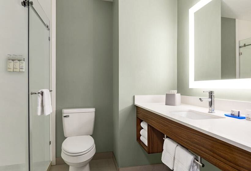 Номер Стандарт, Holiday Inn Express Hotel & Suites Waycross By Ihg