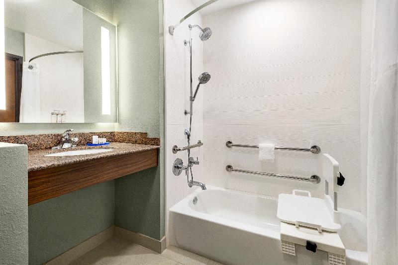 身障者適用キングサイズベッドルーム, Holiday Inn Express Hotel & Suites Waycross By Ihg