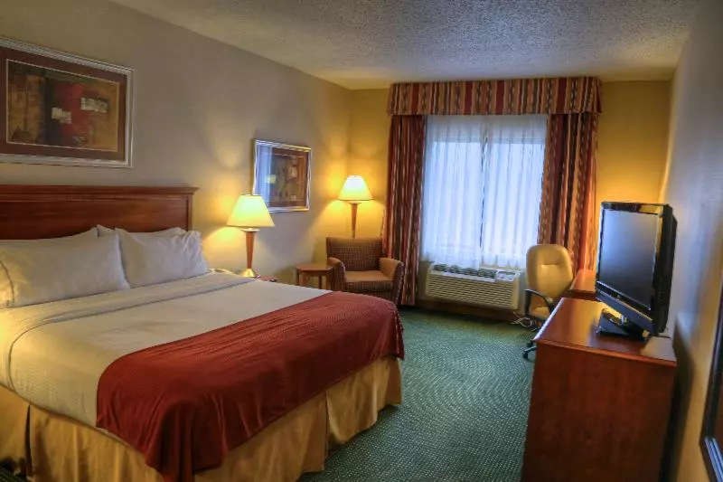 キングサイズベッドのスタンダードルーム, Holiday Inn Express Hotel And Suites Valparaiso, An Ihg