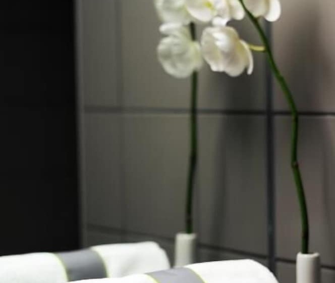 Номер Superior, Best Western Hotel Brussels South