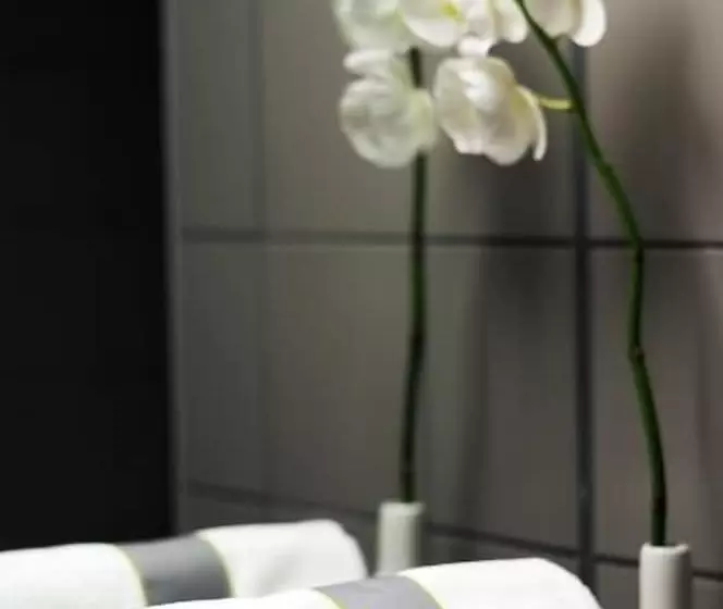 スーペリアールーム, Best Western Hotel Brussels South