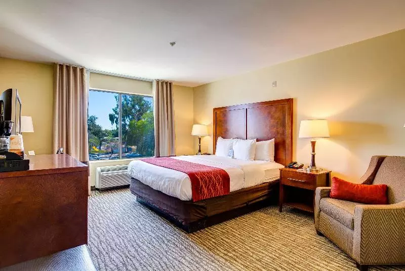 Standard-huone King-vuode, Hilton London Wembley