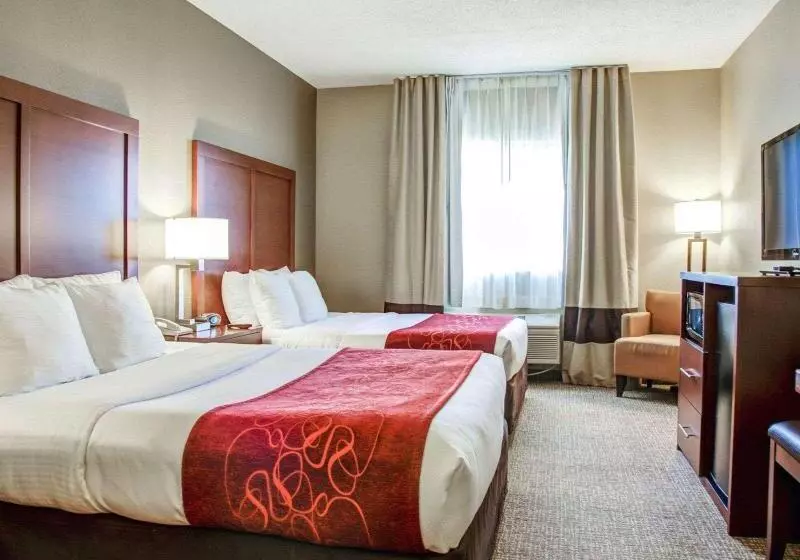 Standard-huone, Hilton London Wembley
