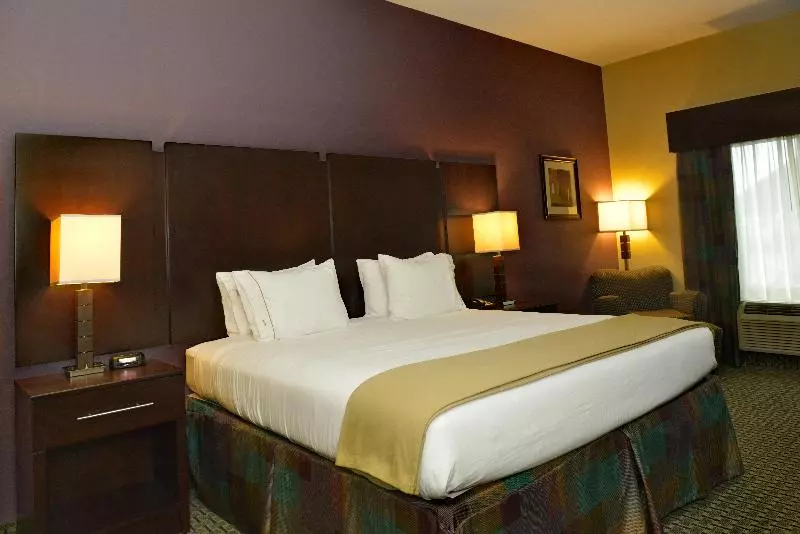 キングサイズベッドのスタンダードルーム, Holiday Inn Express Baton Rouge North, An Ihg