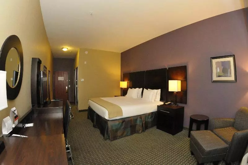 キングサイズベッドのスタンダードルーム, Holiday Inn Express Baton Rouge North, An Ihg