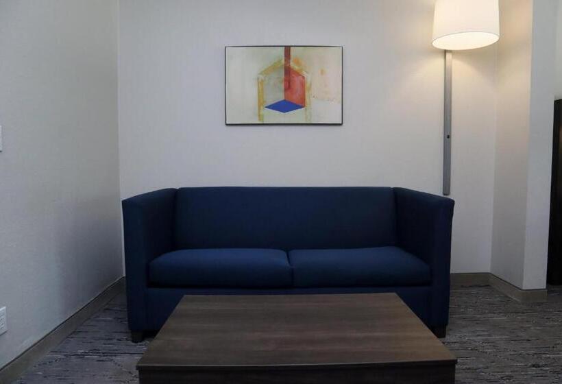 جناح سرير كينج, Holiday Inn Express Baton Rouge North, An Ihg