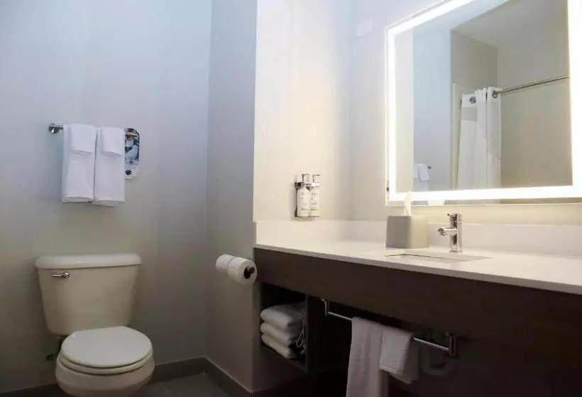 スタンダードスタジオ, Holiday Inn Express Baton Rouge North, An Ihg