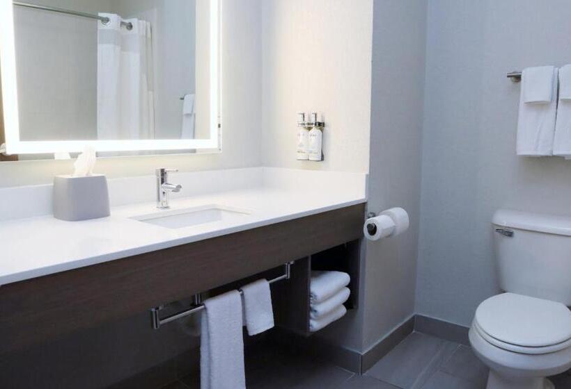 Студия Стандарт, Holiday Inn Express Baton Rouge North, An Ihg