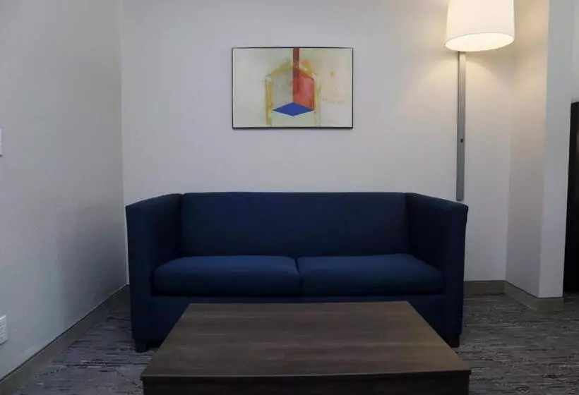 身障者適用キングサイズベッドルーム, Holiday Inn Express Baton Rouge North, An Ihg