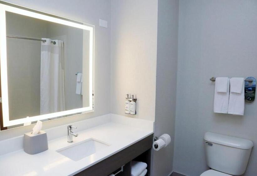 Номер Стандарт Кровать Кинг Адаптированный для Инвалидов, Holiday Inn Express Baton Rouge North, An Ihg