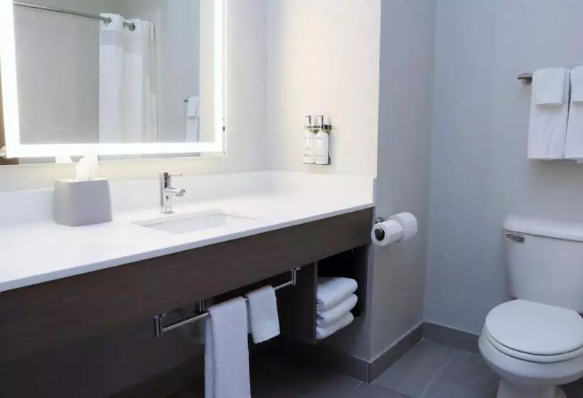 身障者適用キングサイズベッドルーム, Holiday Inn Express Baton Rouge North, An Ihg