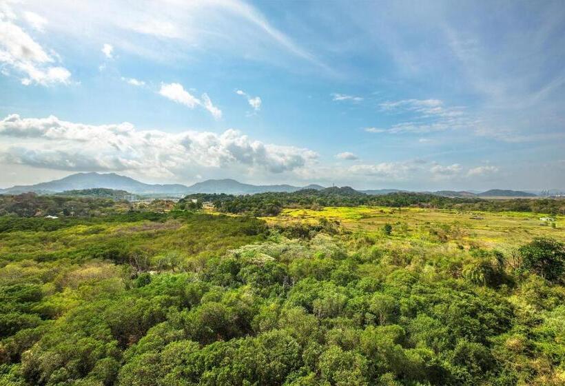 豪华园景房, The Westin Playa Bonita Panama