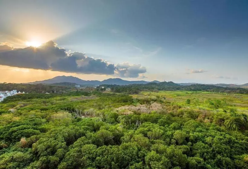 اتاق اجرایی با مشاهده, The Westin Playa Bonita Panama