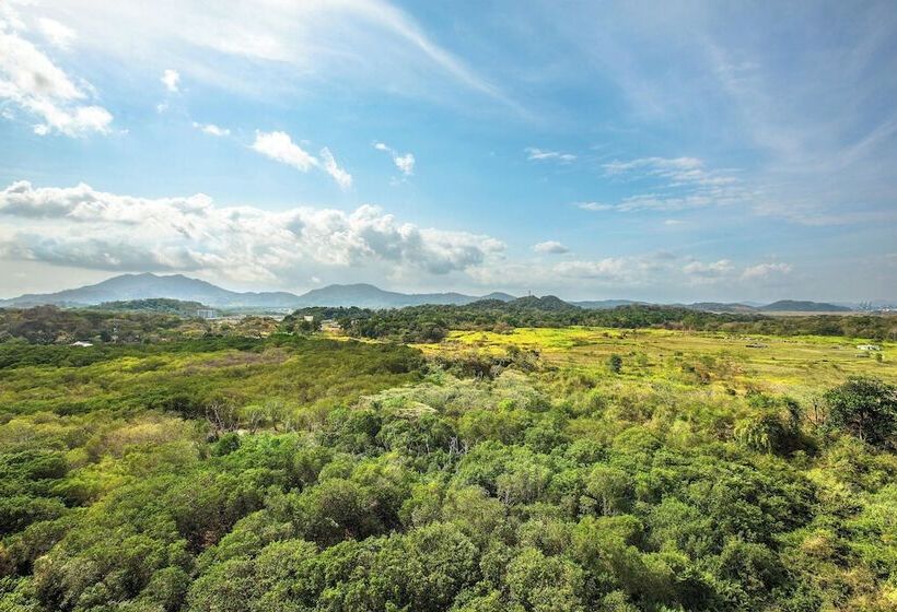 俱乐部套间, The Westin Playa Bonita Panama