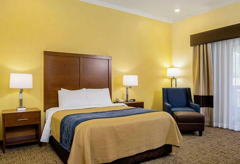 Номер Стандарт, Comfort Inn Monterey Peninsula Airport