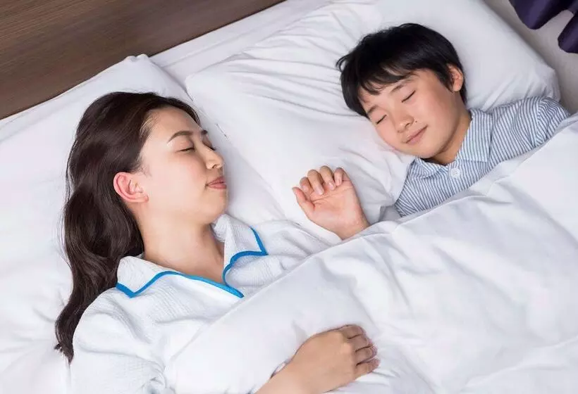 スタンダードルーム, Comfort Hotel Tsubamesanjo