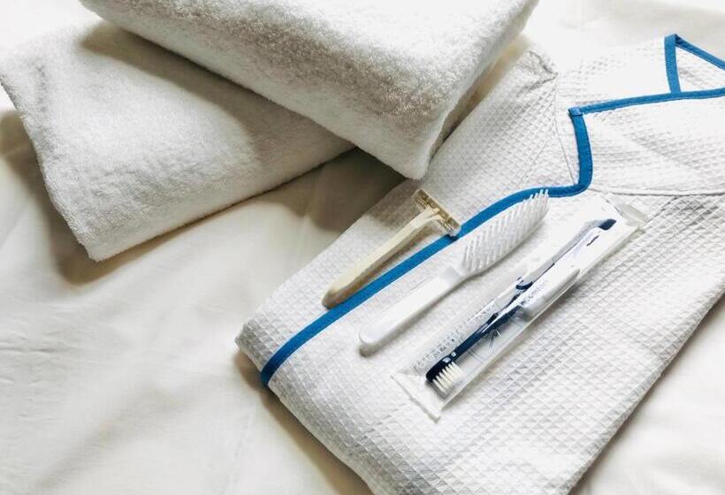 غرفة قياسية, Comfort Hotel Tsubamesanjo