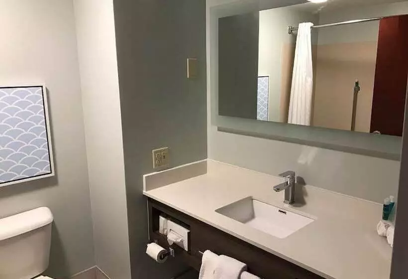 スタンダードルーム, Holiday Inn Express Hotel & Suites Dayton West Brookville By Ihg