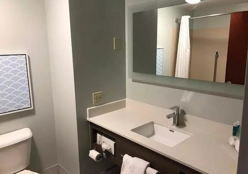 スタンダードルーム, Holiday Inn Express Hotel & Suites Dayton West Brookville By Ihg