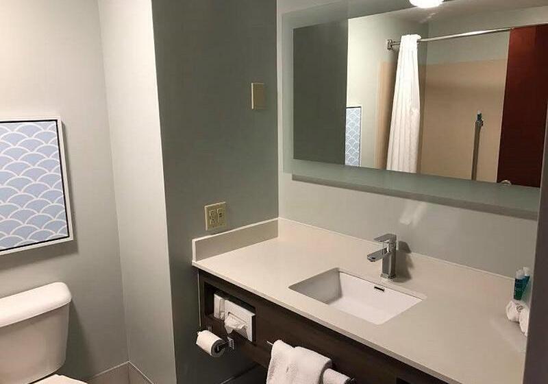 Номер Executive Кровать Кинг, Holiday Inn Express Hotel & Suites Dayton West   Brookville By Ihg