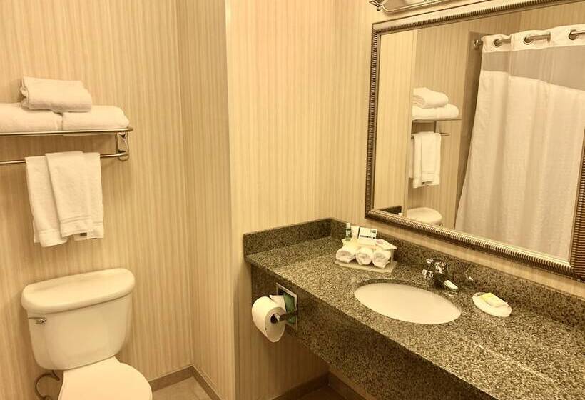Люкс, Holiday Inn Express & Suites Dewitt Syracuse, An Ihg