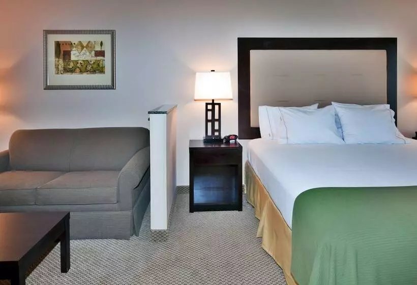 スイート, Holiday Inn Express & Suites Dewitt   Syracuse, An Ihg