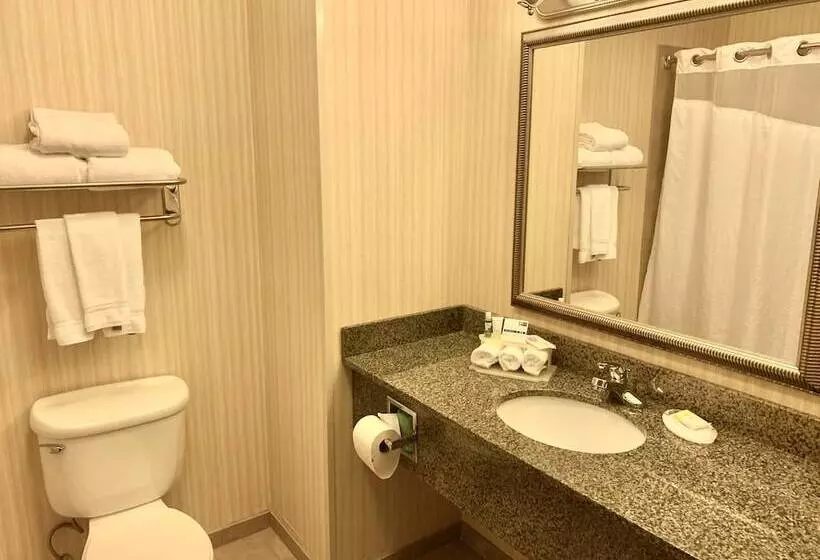 スタンダードルーム, Holiday Inn Express & Suites Dewitt   Syracuse, An Ihg