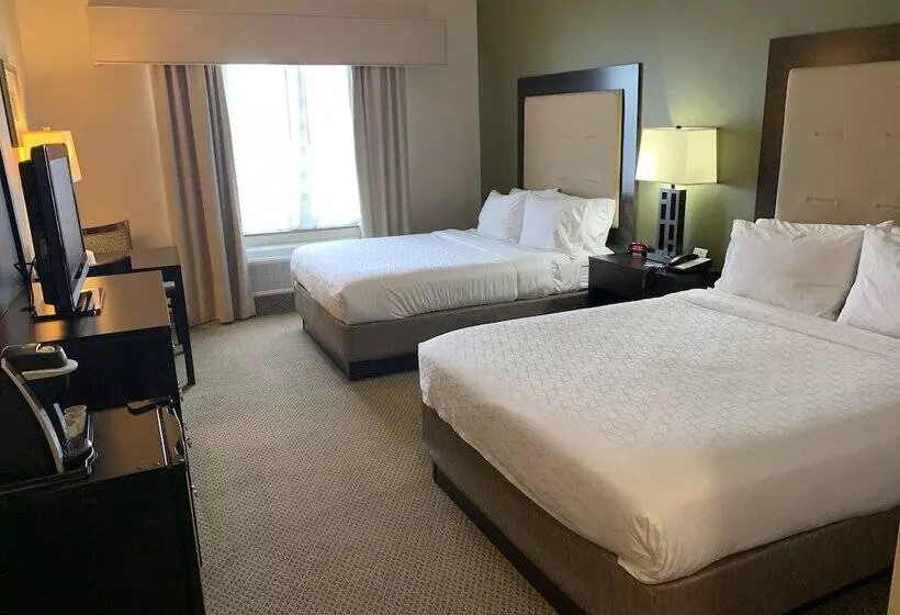 スタンダードルーム, Holiday Inn Express & Suites Dewitt   Syracuse, An Ihg
