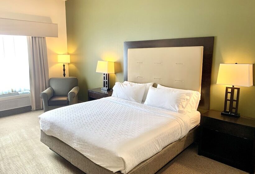 Номер Стандарт, Holiday Inn Express & Suites Dewitt Syracuse, An Ihg