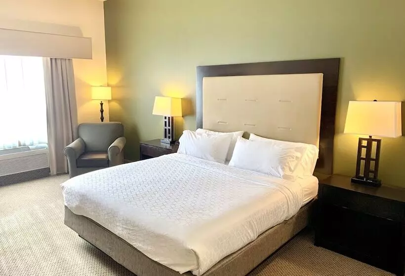 身障者適用スイートルーム, Holiday Inn Express & Suites Dewitt   Syracuse, An Ihg