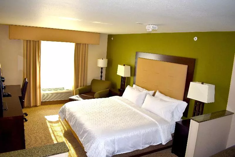 身障者適用キングサイズベッドルーム, Holiday Inn Express & Suites Dewitt   Syracuse, An Ihg