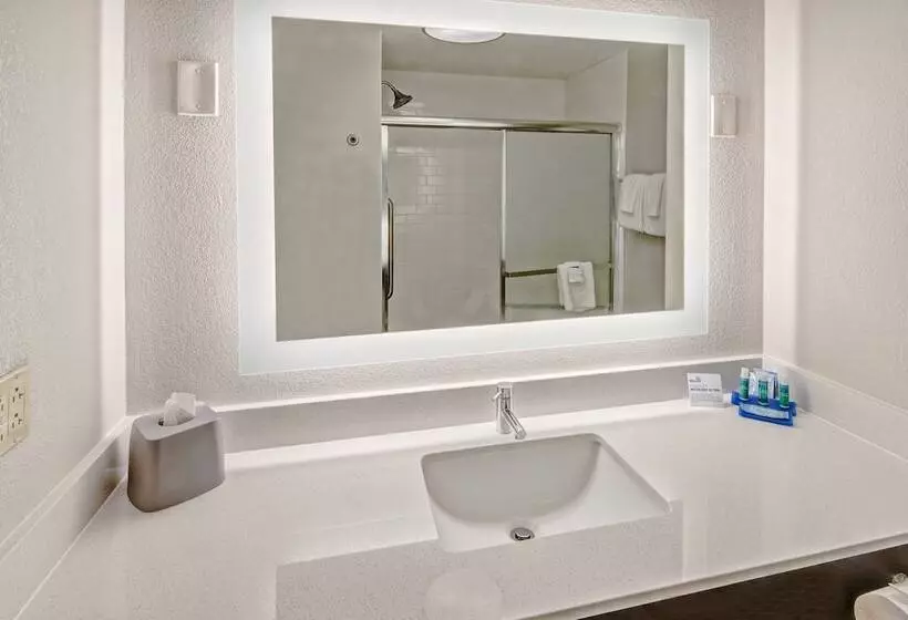 スタンダードルーム, Holiday Inn Express Hotel & Suites Jackson Northeast, An Ihg
