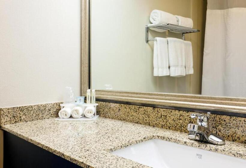 Номер Стандарт Кровать Кинг Адаптированный для Инвалидов, Holiday Inn Express Hotel & Suites Port Clinton Catawba Island, An Ihg