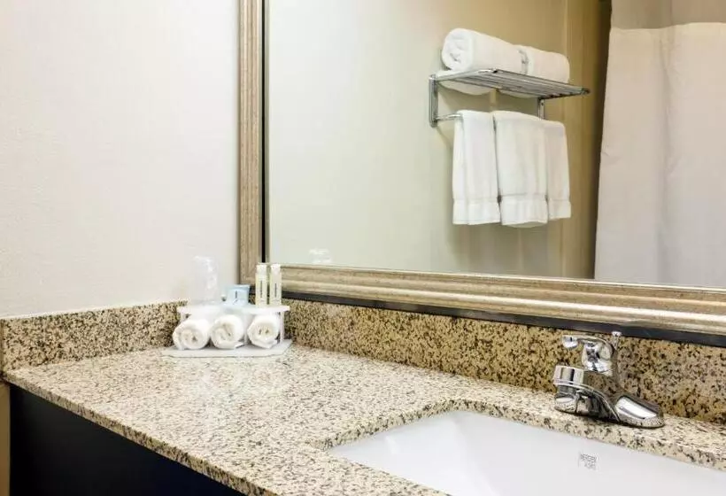 Standard-invahuone, Holiday Inn Express Hotel & Suites Port Clinton Catawba Island, An Ihg