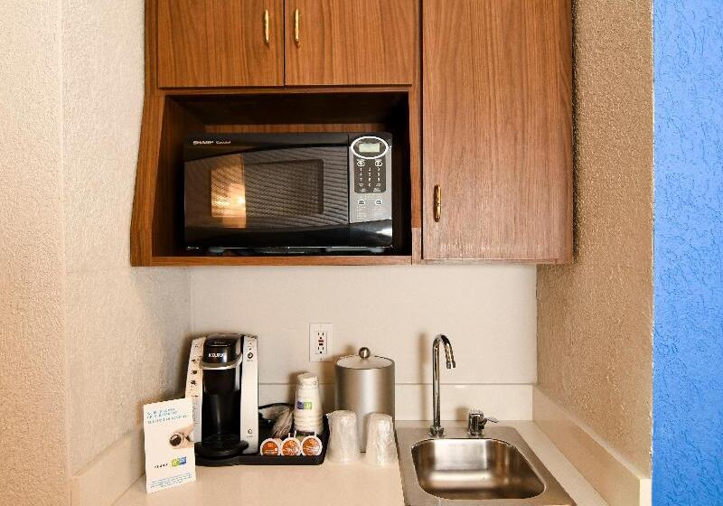 Люкс Кровать Кинг, Holiday Inn Express Hotel & Suites Port Clinton Catawba Island, An Ihg