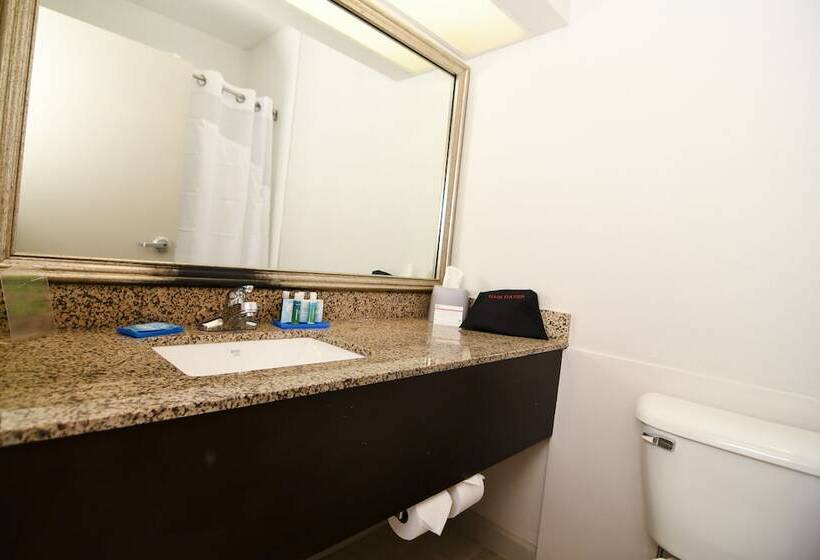 Номер Стандарт, Holiday Inn Express Hotel & Suites Port Clinton Catawba Island, An Ihg