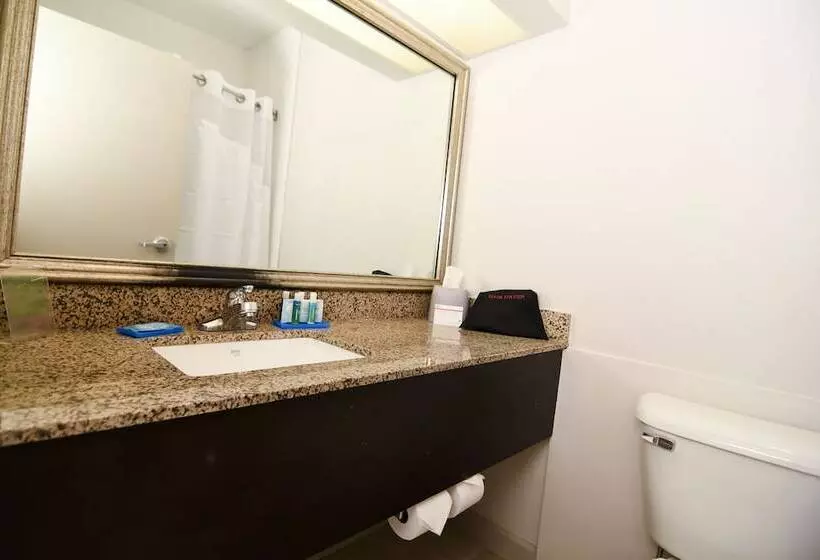 Standard-huone, Holiday Inn Express Hotel & Suites Port Clinton Catawba Island, An Ihg