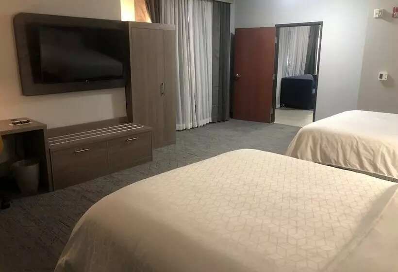 スイート, Holiday Inn Express Hotel & Suites Woodward Hwy 270, An Ihg