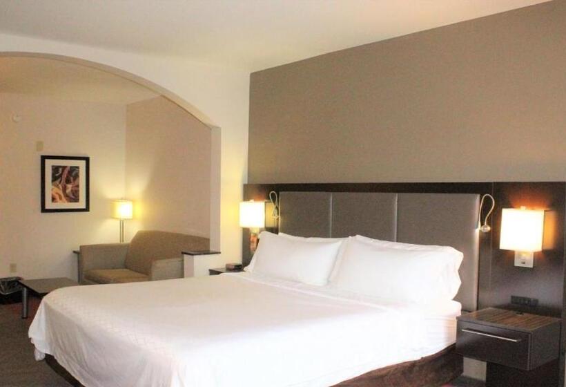 جناح سرير كينج, Holiday Inn Express Hotels & Suites Rockingham West, An Ihg