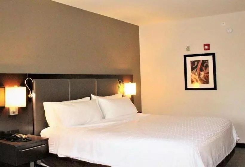 キングサイズベッドのスタンダードルーム, Holiday Inn Express Hotels & Suites Rockingham West, An Ihg